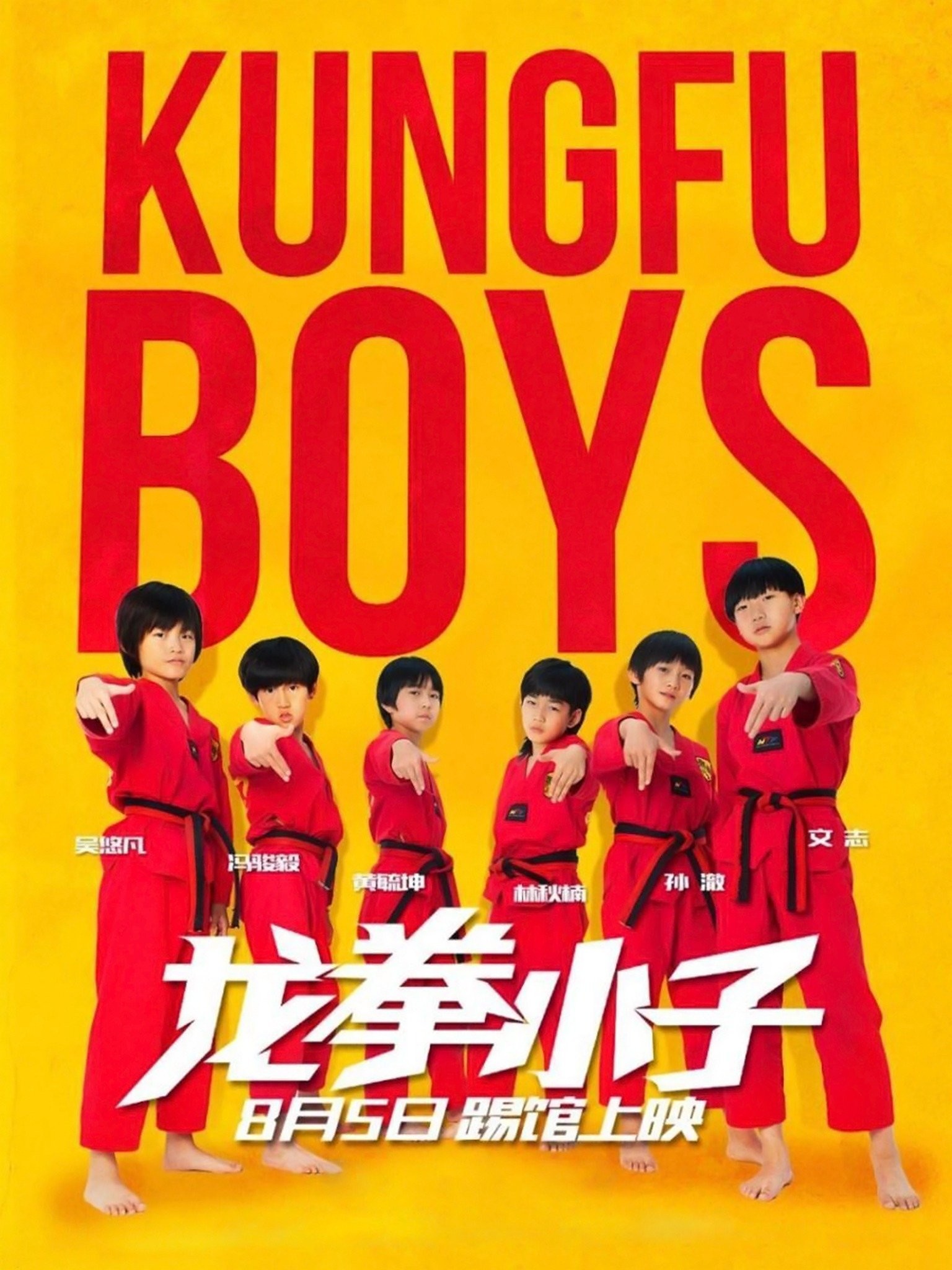 KUNG FU BOYS